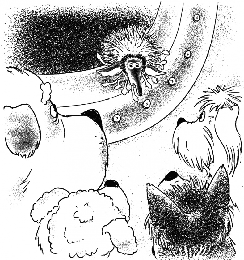 Приключения Пуха на Земле и в Космосе