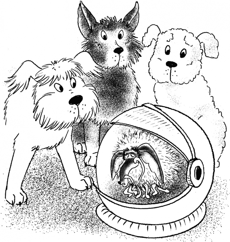 Приключения Пуха на Земле и в Космосе