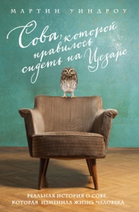 Сова, которой нравилось сидеть на Цезаре - Мартин Уиндроу