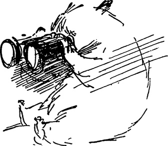 Медвежонок Паддингтон. С любовью