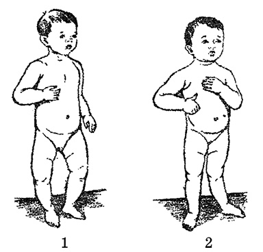 Возрастная анатомия и физиология. Основы профилактики и коррекции нарушений в развитии детей Возрастная анатомия и физиология. Основы профилактики и коррекции нарушений в развитии детей