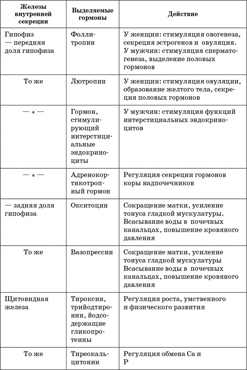 Возрастная анатомия и физиология. Основы профилактики и коррекции нарушений в развитии детей