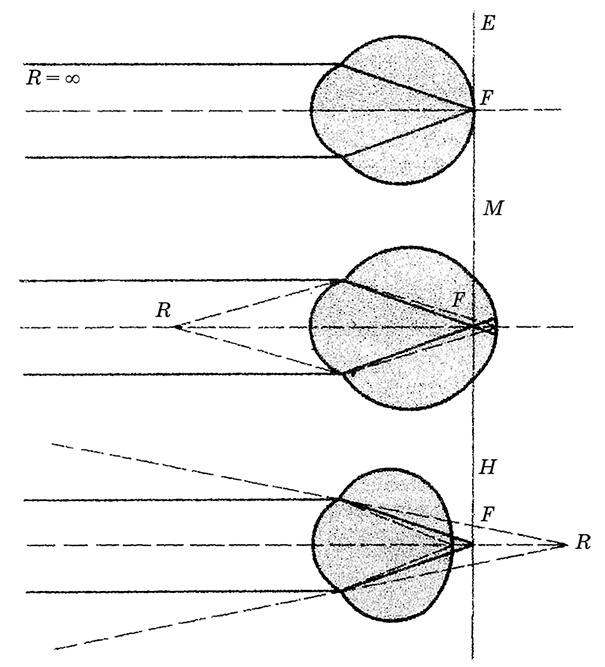 Возрастная анатомия и физиология. Основы профилактики и коррекции нарушений в развитии детей Возрастная анатомия и физиология. Основы профилактики и коррекции нарушений в развитии детей
