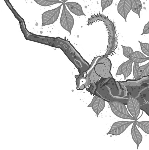 Школа волшебных зверей Школа волшебных зверей