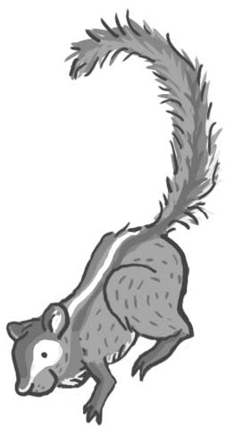 Школа волшебных зверей Школа волшебных зверей