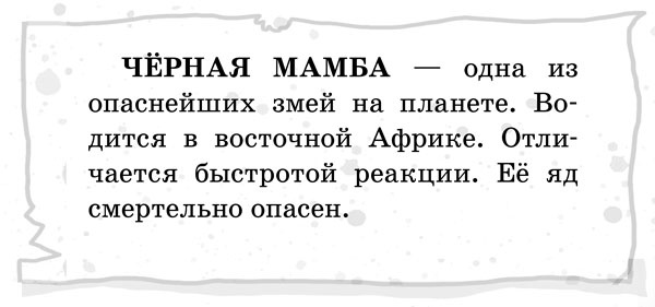Школа волшебных зверей Школа волшебных зверей