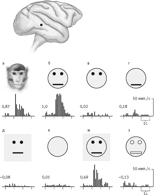 Век самопознания. Поиски бессознательного в искусстве и науке с начала XX века до наших дней