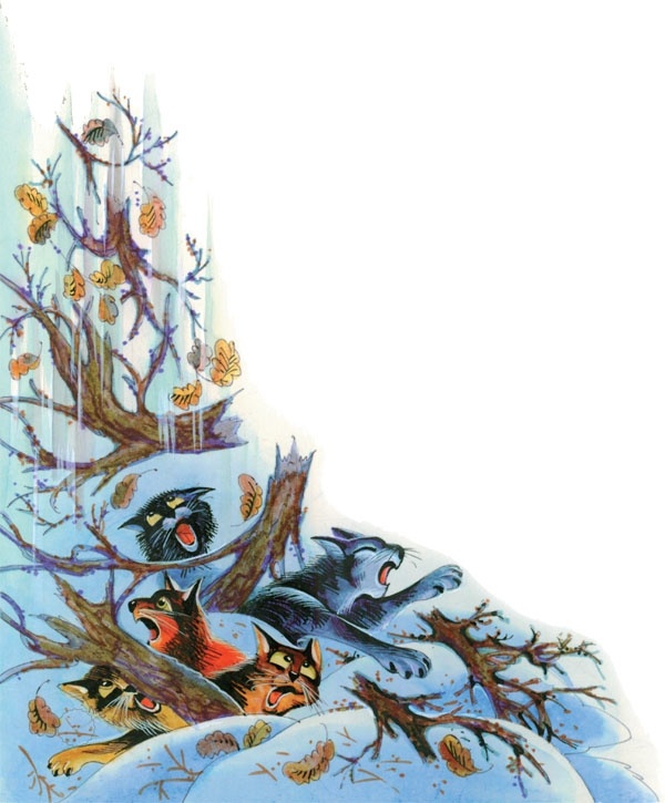 Закон племен Закон племен