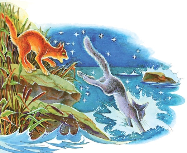 Закон племен Закон племен