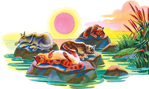 Закон племен Закон племен