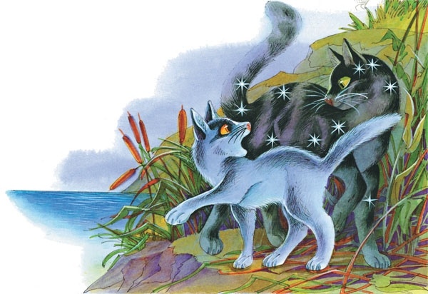 Закон племен Закон племен