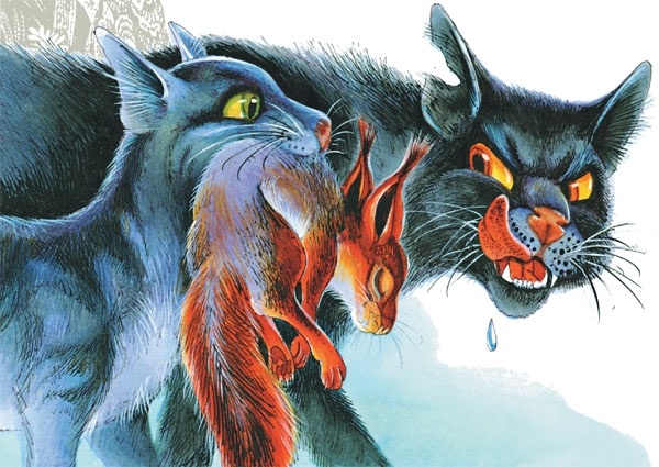 Закон племен Закон племен