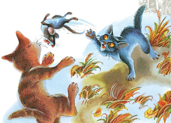 Закон племен Закон племен