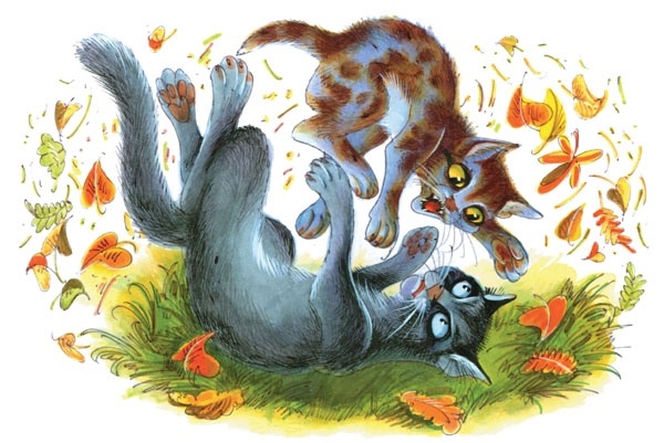 Закон племен Закон племен