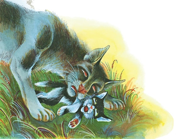 Закон племен Закон племен