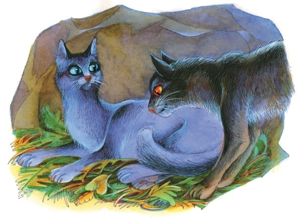 Закон племен Закон племен