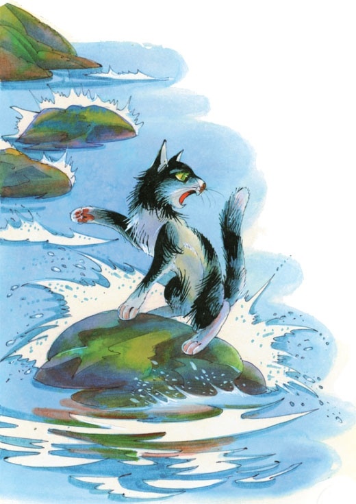 Закон племен Закон племен