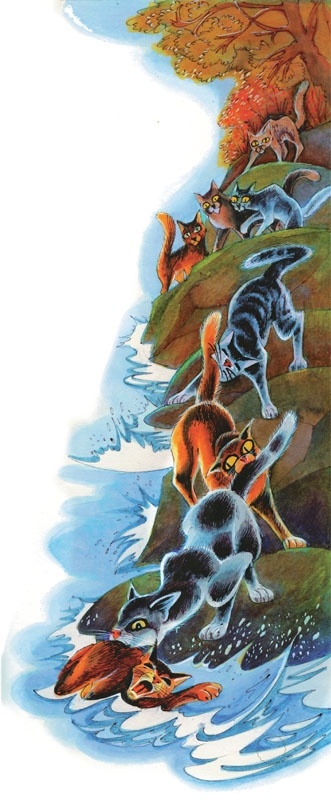 Закон племен Закон племен