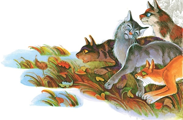 Закон племен Закон племен