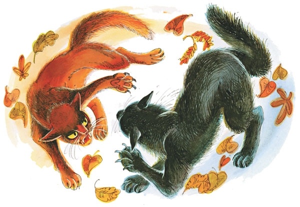 Закон племен Закон племен