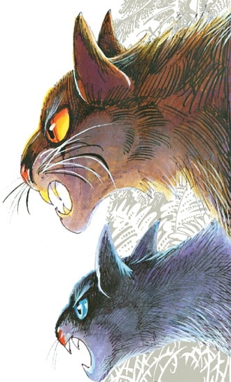 Закон племен