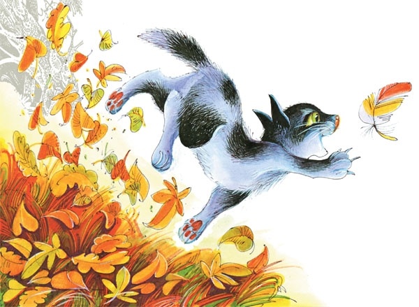 Закон племен Закон племен