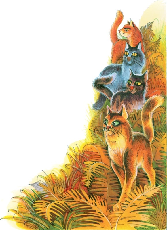 Закон племен Закон племен