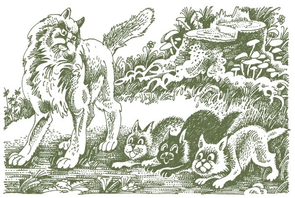 Закон племен Закон племен