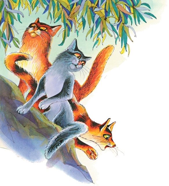 Закон племен Закон племен