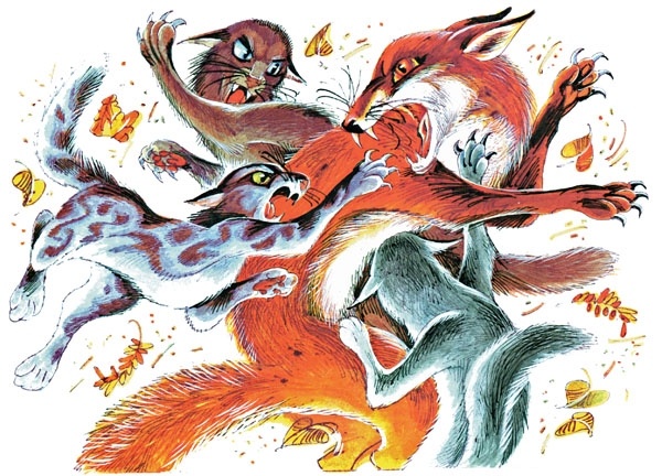 Закон племен Закон племен