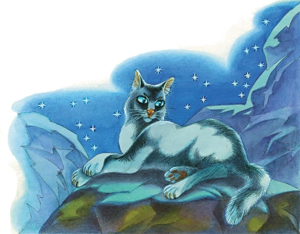 Закон племен Закон племен