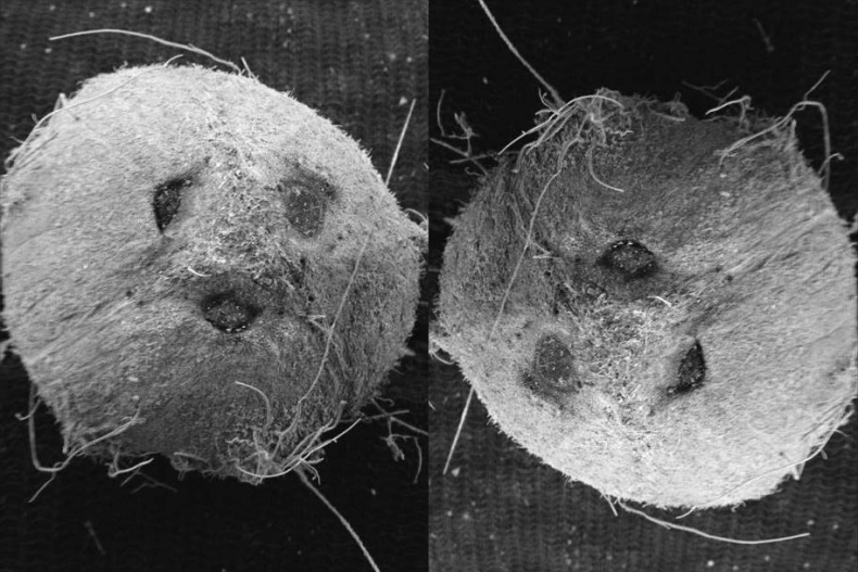 Мозгоускорители. Как научиться эффективно мыслить, используя приемы из разных наук
