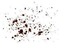 Пастух Пастух