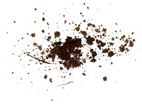 Пастух Пастух