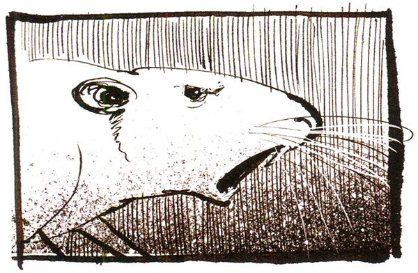 Пастух Пастух