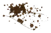 Пастух Пастух