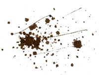 Пастух Пастух