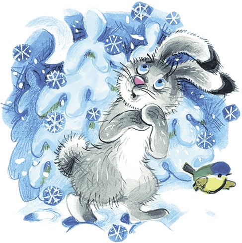 Где зимуют зайцы? Где зимуют зайцы?