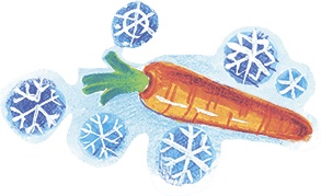 Где зимуют зайцы? Где зимуют зайцы?