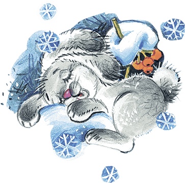 Где зимуют зайцы? Где зимуют зайцы?