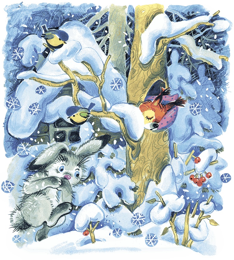 Где зимуют зайцы? Где зимуют зайцы?