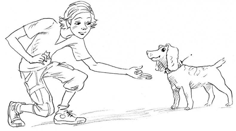 Собака по щучьему велению Собака по щучьему велению