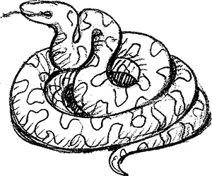 Волшебник с пятачком Волшебник с пятачком