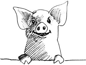 Волшебник с пятачком Волшебник с пятачком