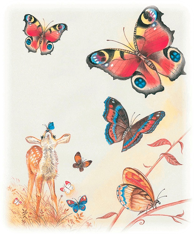 Бемби Бемби