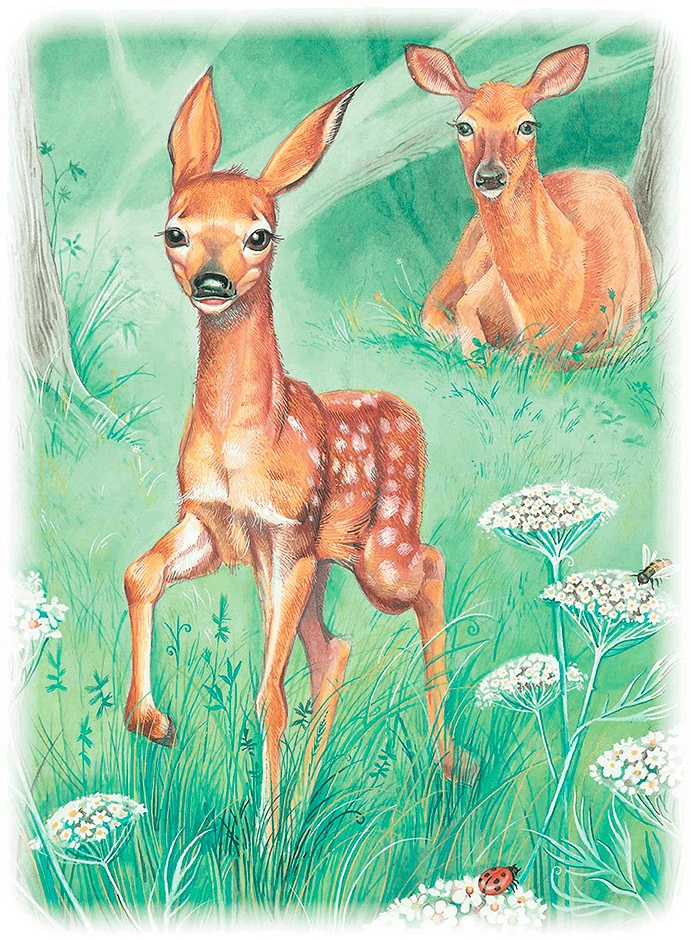 Бемби Бемби