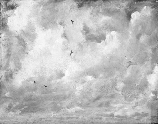 Новости. Инструкция для пользователя Новости. Инструкция для пользователя