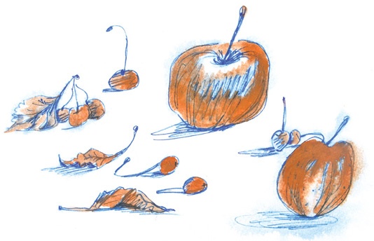 Ворон Клара и яблочный год Ворон Клара и яблочный год