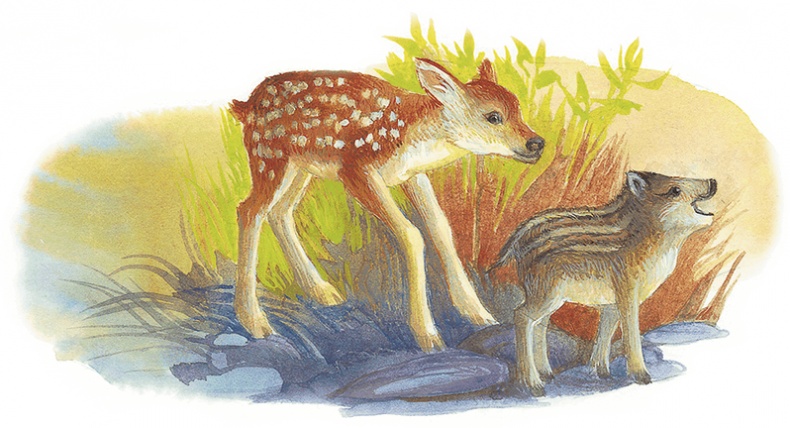 Жук на ниточке Жук на ниточке