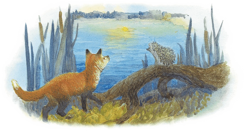 Жук на ниточке Жук на ниточке